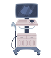 Ultrasound (USG)